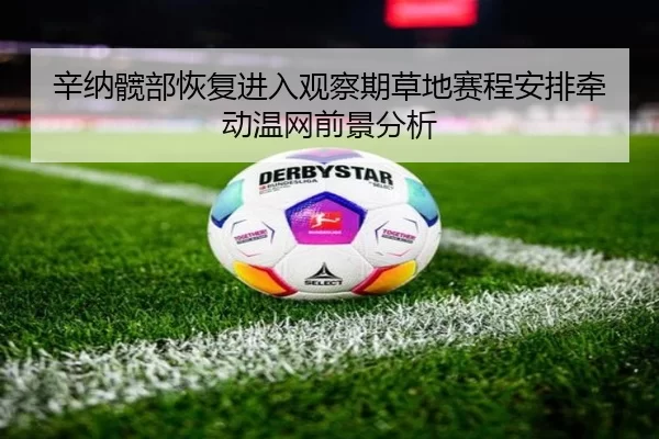 辛纳髋部恢复进入观察期草地赛程安排牵动温网前景分析